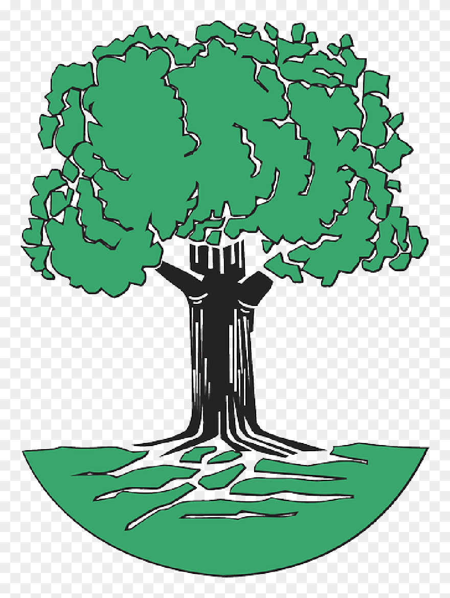 Green, Tree, Roots, Cartoon, Free, Trees, Plant, Leaves - Oak Tree Clip Art - Png Download