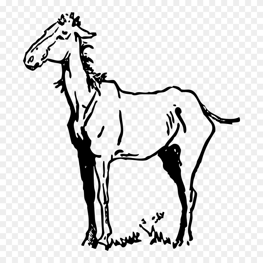 Old Horse - Horse Clip Art - Png Download
