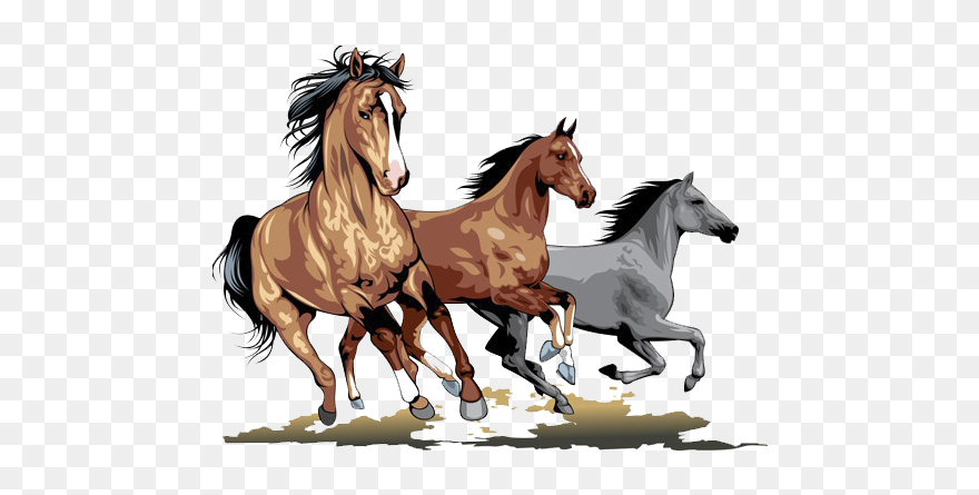 Clip Art Running Transprent - Running Horses Clip Art - Png Download