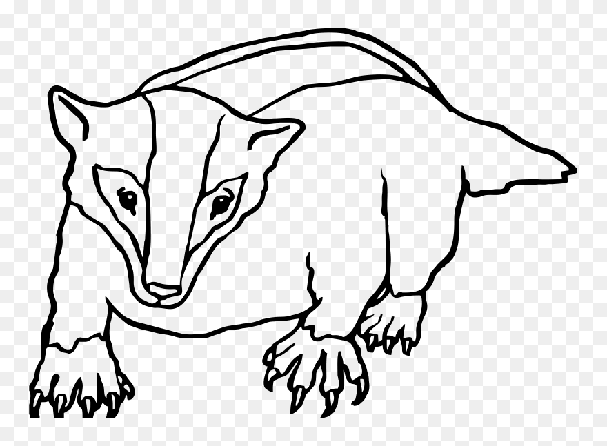 Badger Clipart Black And White - Png Download