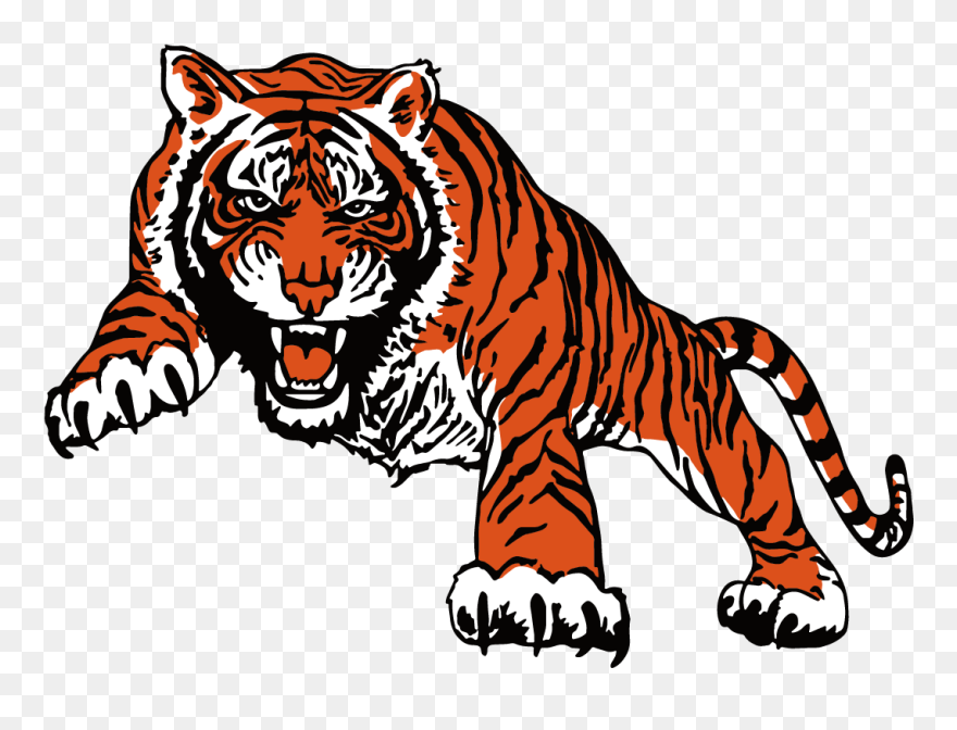 Return Home - Transparent Angry Tiger Png Clipart
