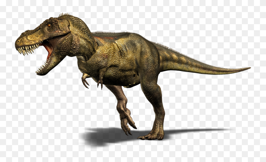 Transparent T Rex Clipart - Dinosaurs With No Neck - Png Download