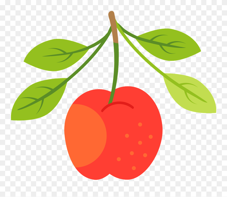 Cherry Clipart