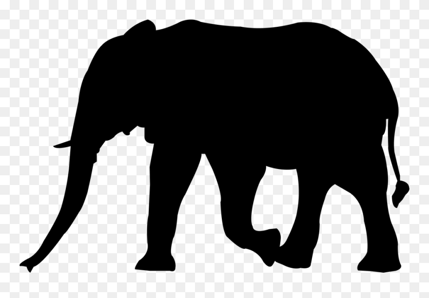 Black And White Clipart Of Zoo Animal Silhouettes Graphic - Elephant Images For Kids - Png Download