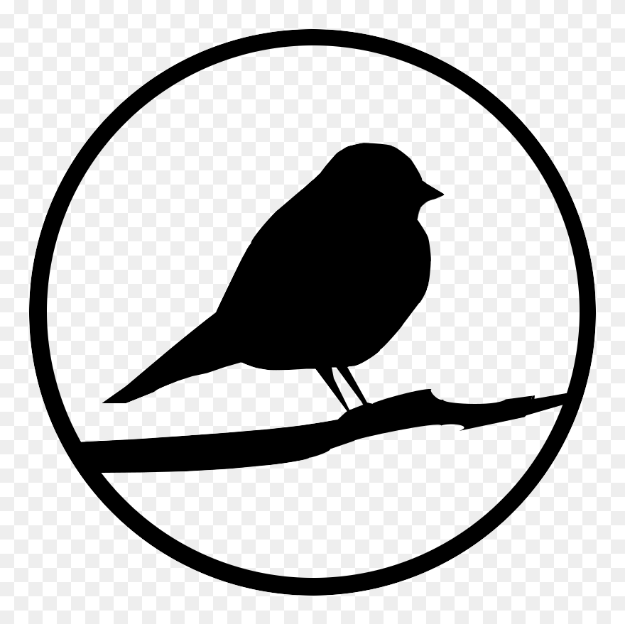 Robin Clipart British Wildlife - Robin Clipart Black And White - Png Download