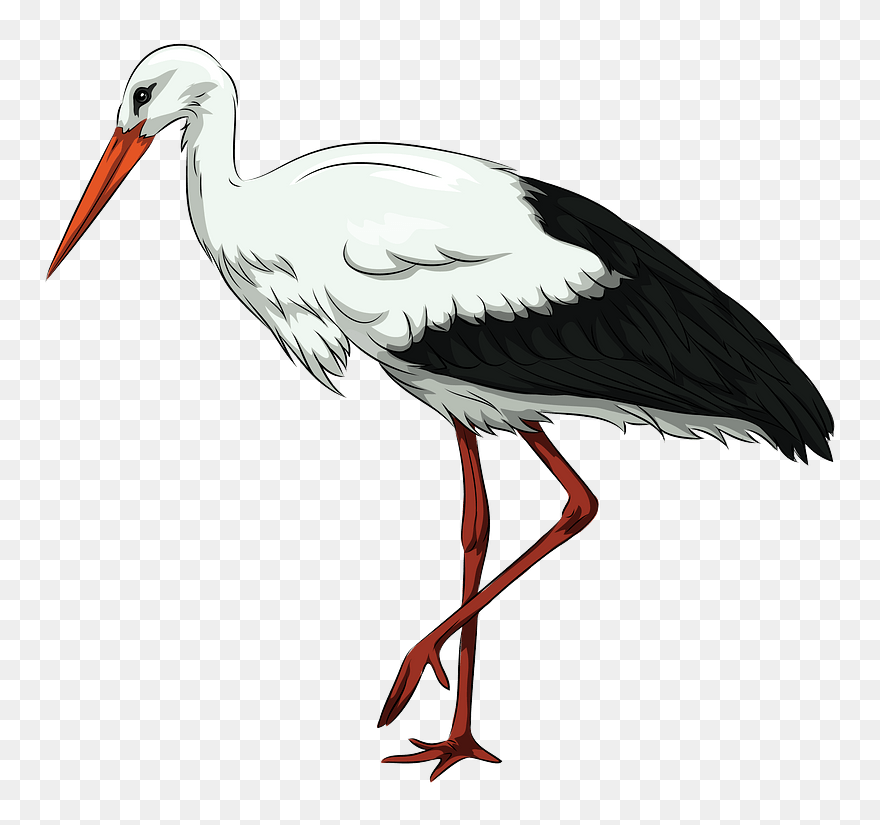 Stork Clipart - Png Download