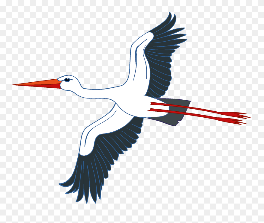 White Stork Clipart