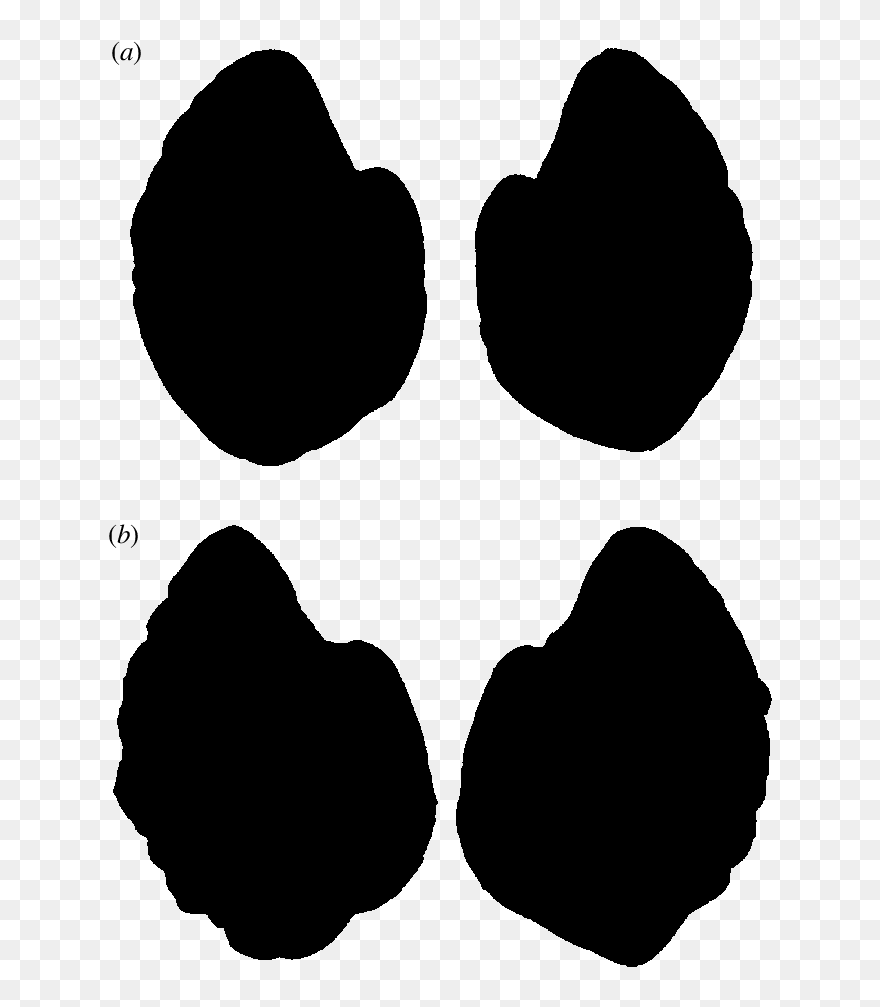 Clip Art - Png Download