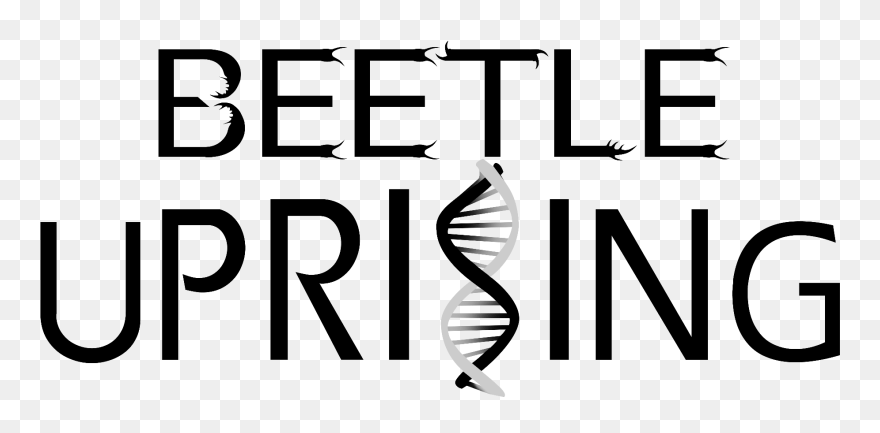 Heart Skeleton Key Clipart - Png Download