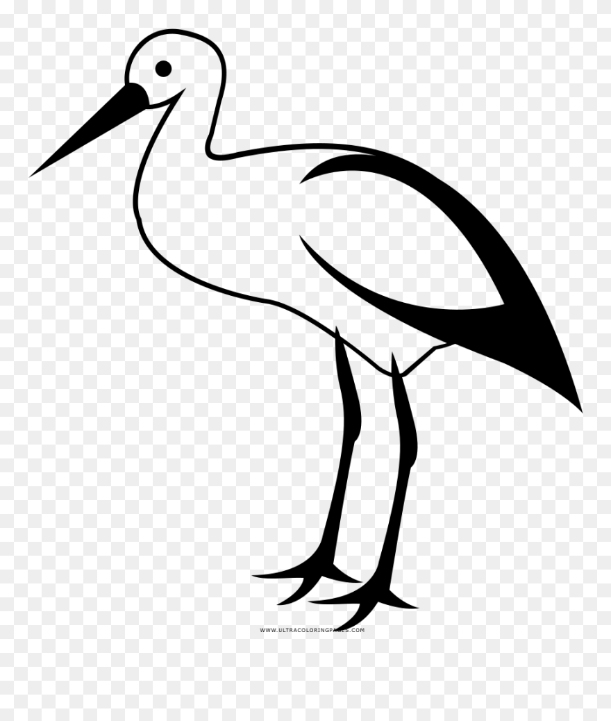 Stork Coloring Page - White Stork Clipart