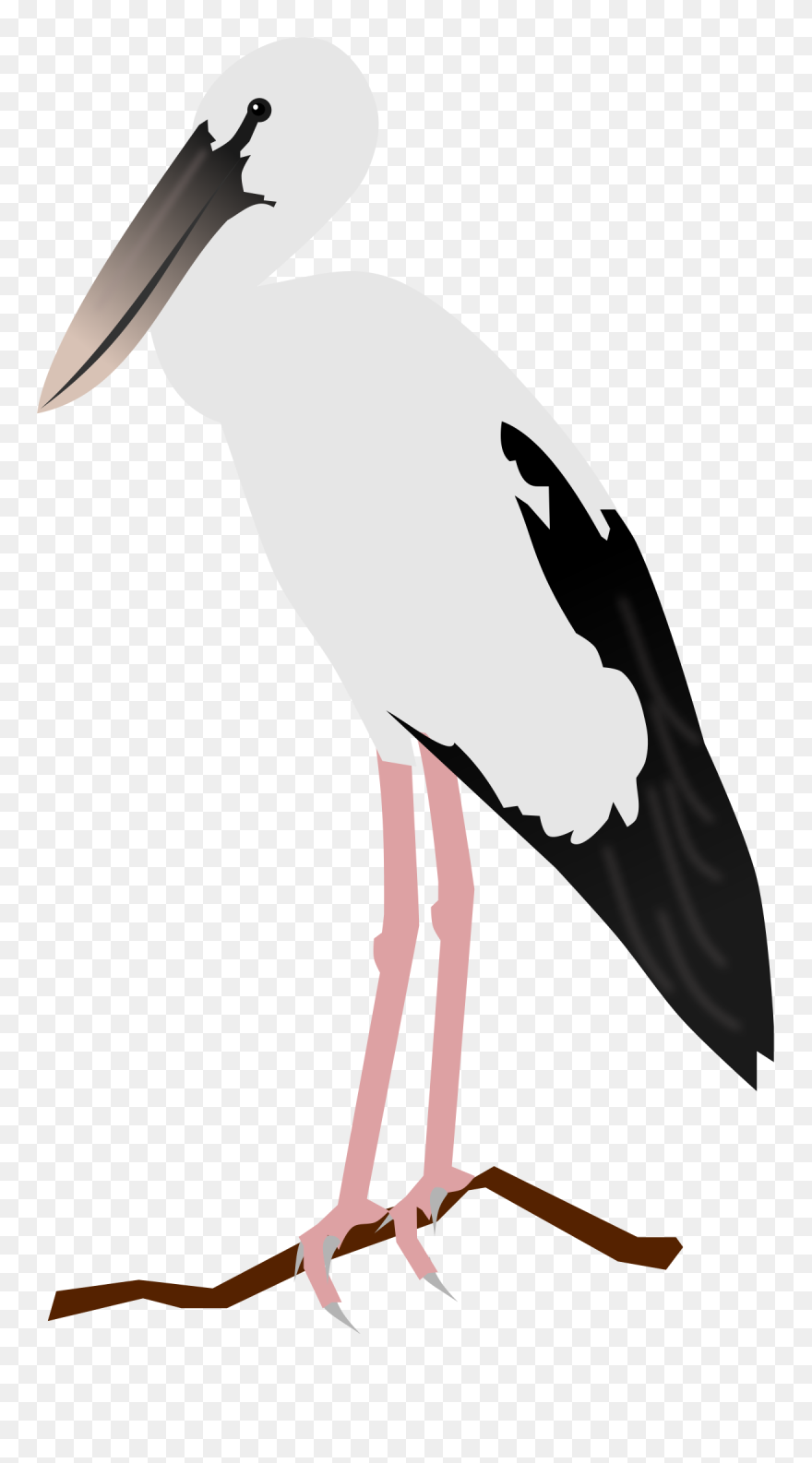 Illustration Clipart