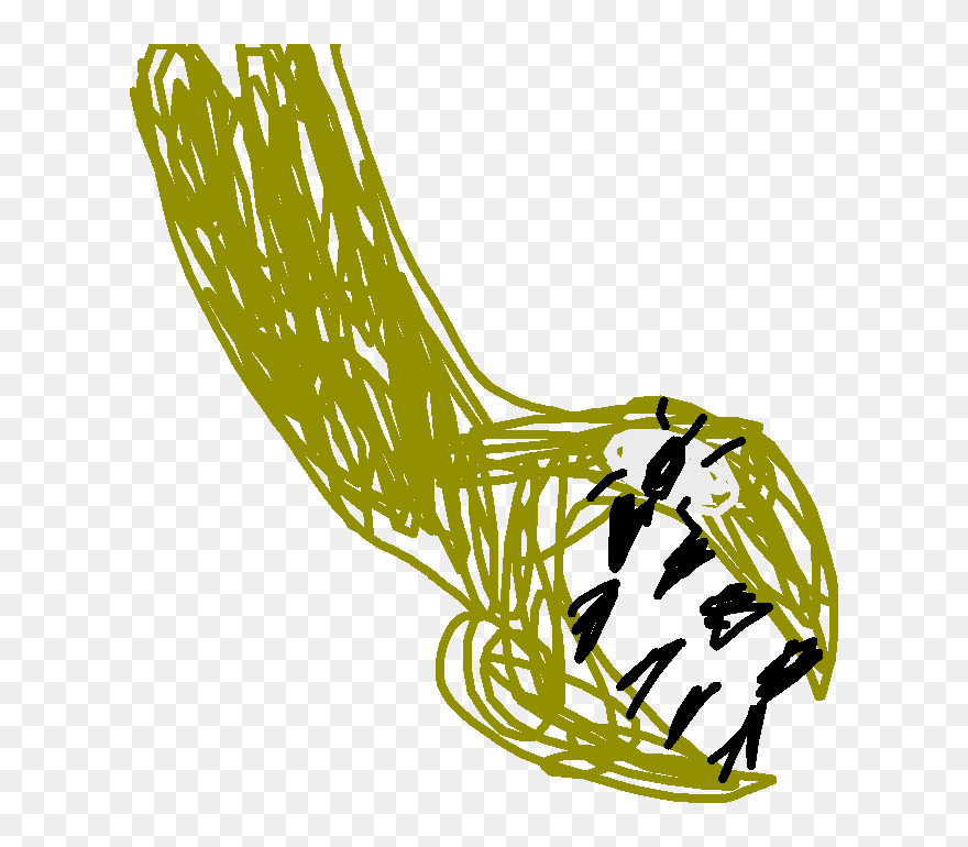 Illustration Clipart