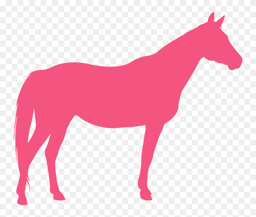 Cavalo Quarto De Milha Png Clipart