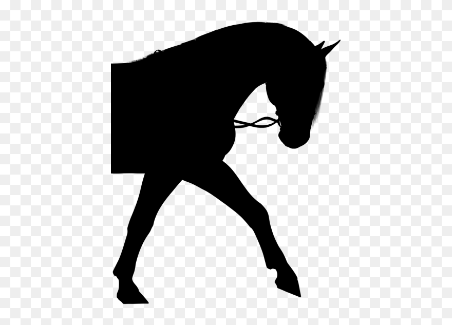 Horse Silhouette Pony - Horse And Rider Silhouette Clipart