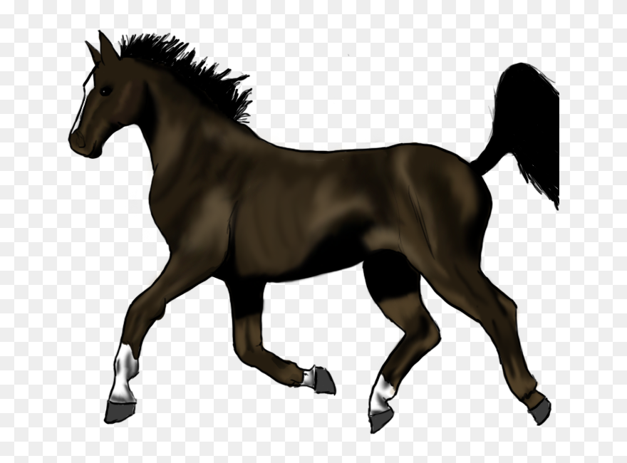Pony Trot Mane Stallion Thoroughbred - Horse Trotting Mane Clipart