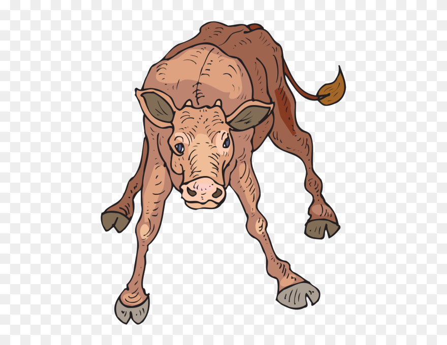 Wobbly Calf Png Icons - Cartoon Cow Clipart