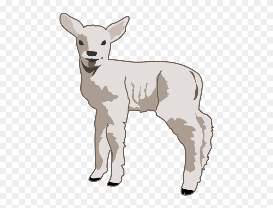 Small Sheep Png Images - Sheep Clip Art Transparent Png
