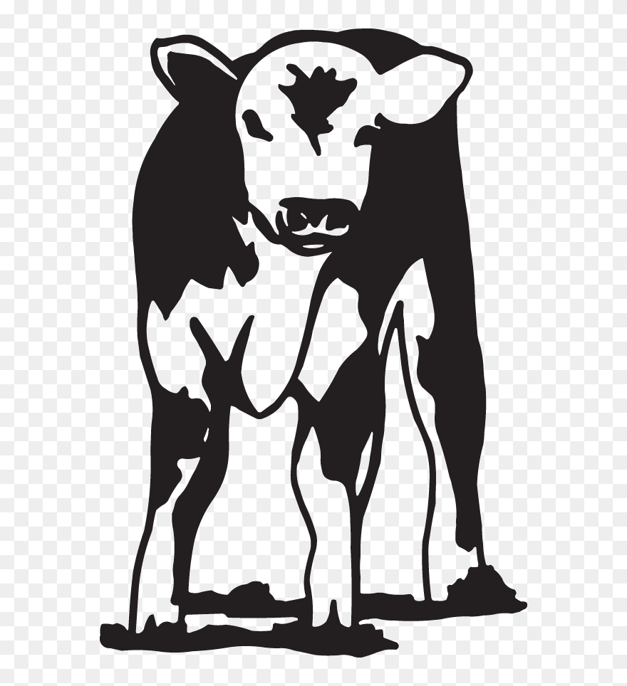 Hereford Calf Black And White Clipart
