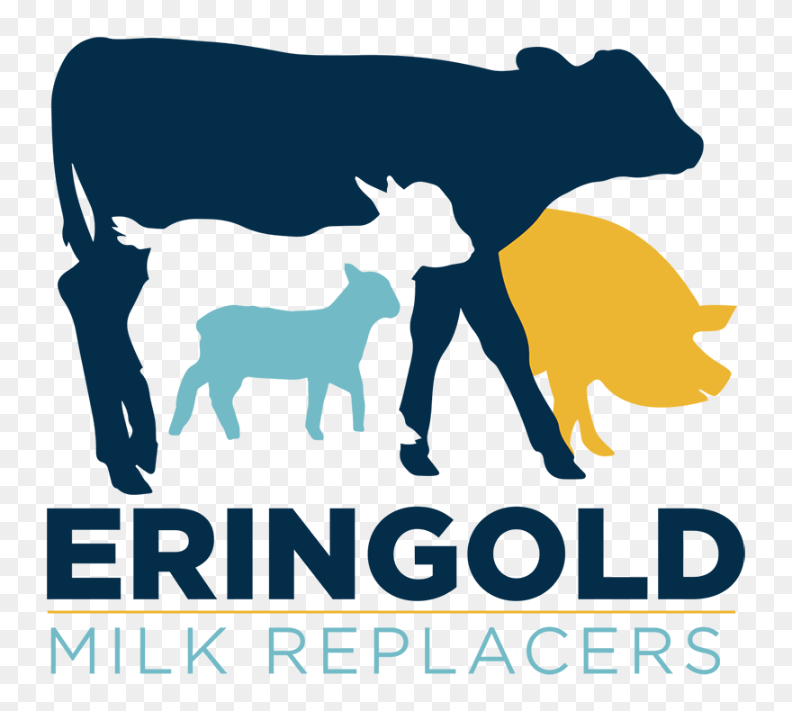 Eringold Ltd - Captain Fernando Negombo Boat Tours Clipart