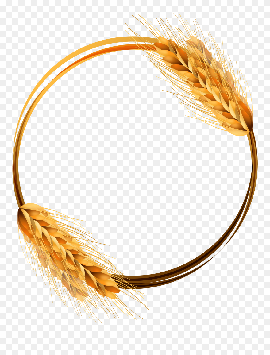 Transparent Wheat Clipart - Clipart Wheat - Png Download