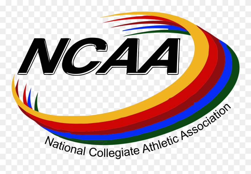 Basketball Net Vector Clipart - Png Download