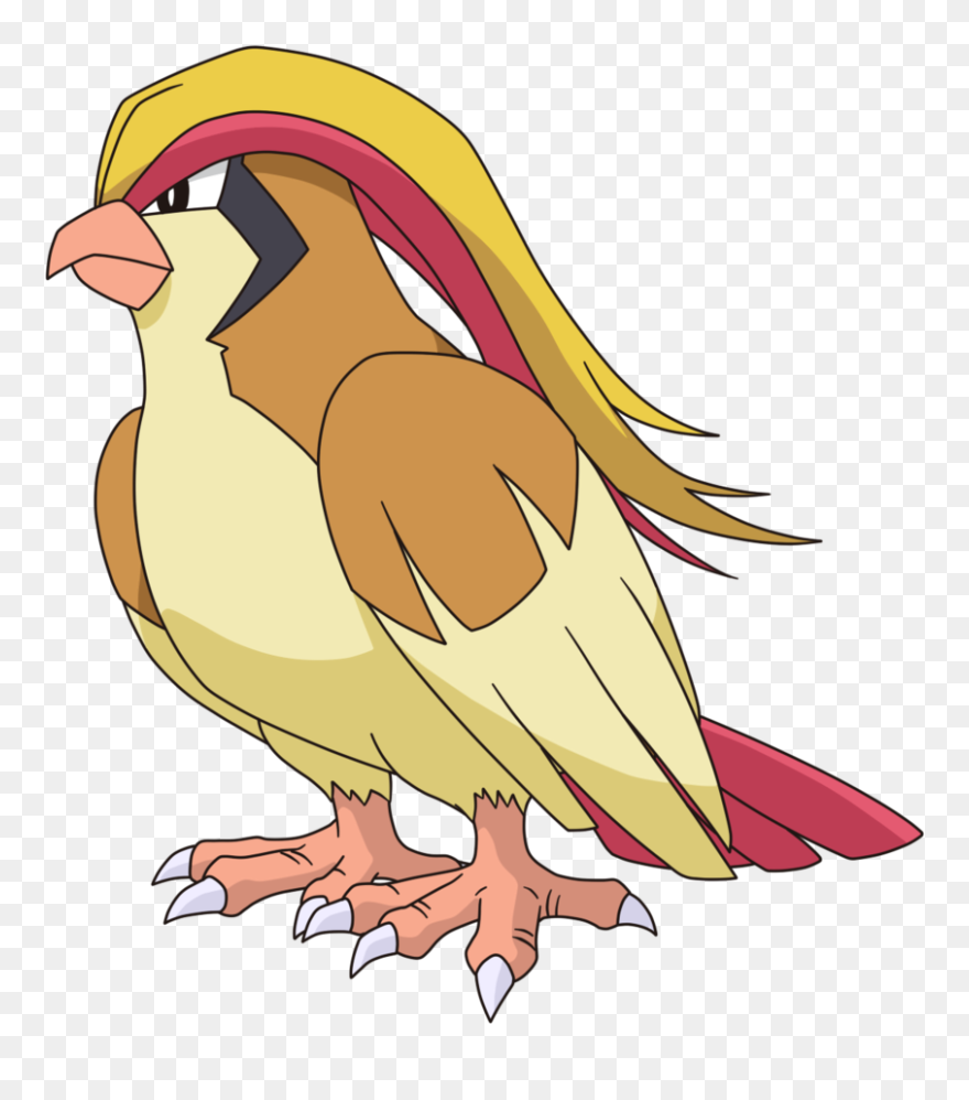 Pidgeot Pokemon Clipart