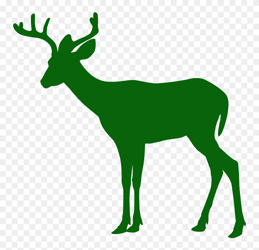 Clipart Deer - Png Download