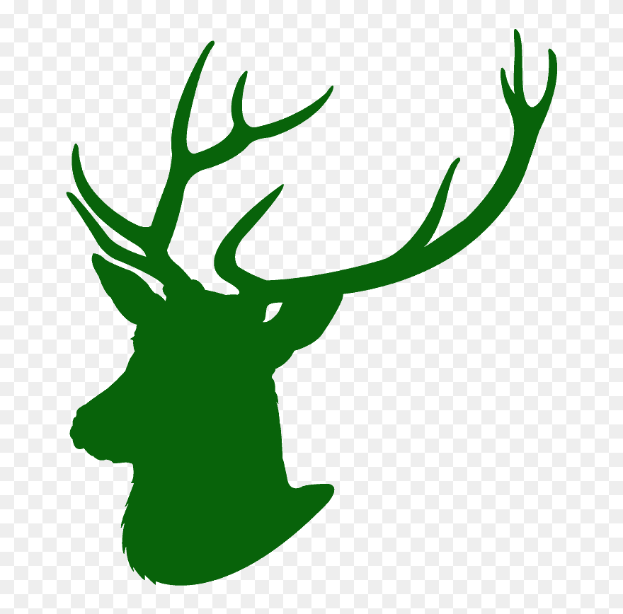 Clip Art - Png Download