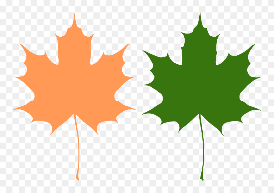 Vector Maple Leaf Free Clipart