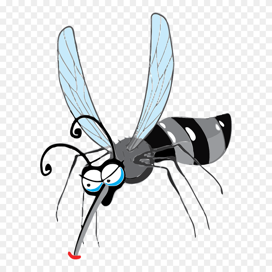 Cartoon Mosquito Clipart - Nyamuk Aedes Aegypti Kartun - Png Download