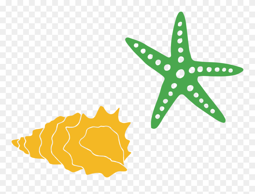 Transparent Blue Starfish Clipart - Starfish Shell Svg - Png Download