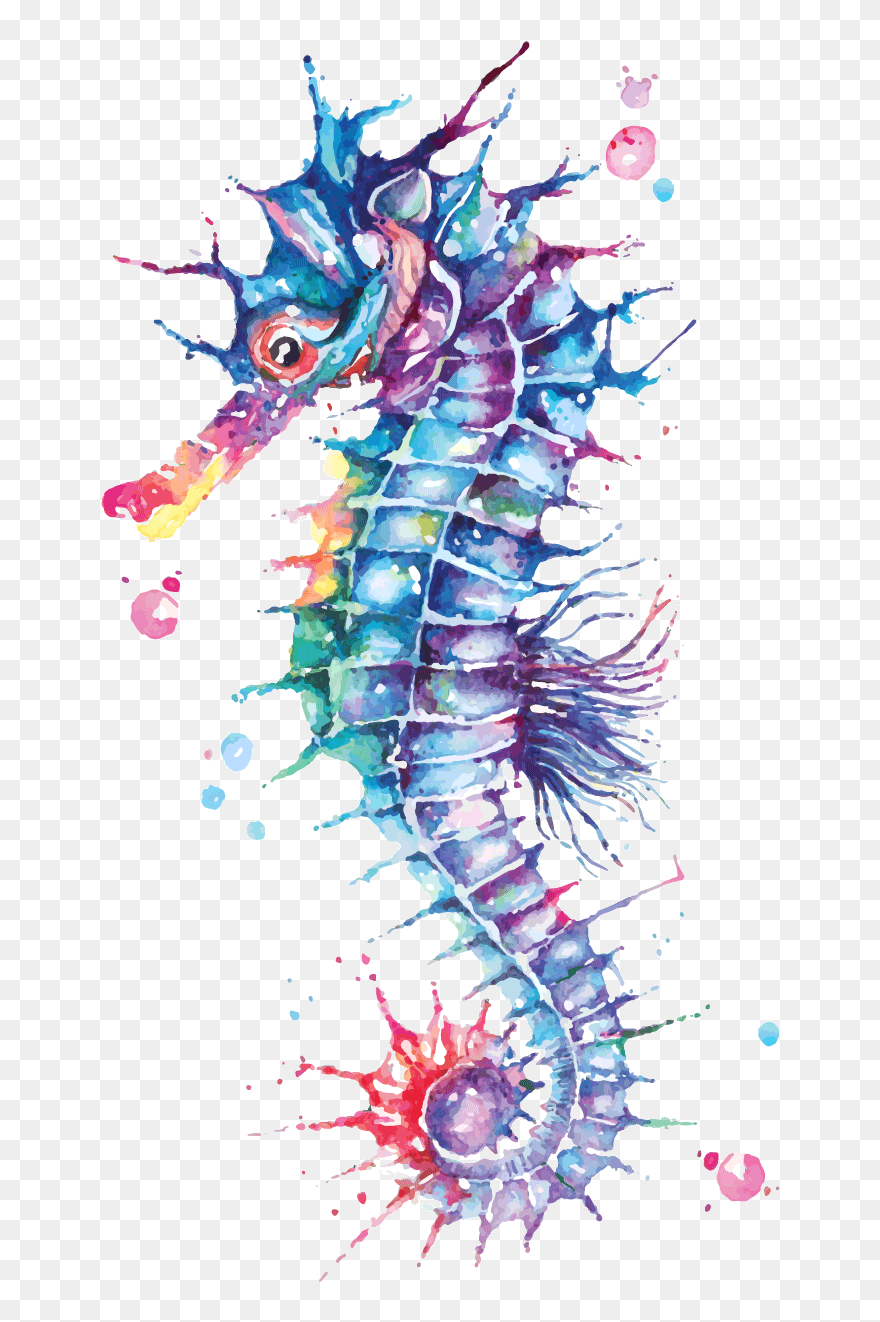 Seahorse Watercolor Clipart
