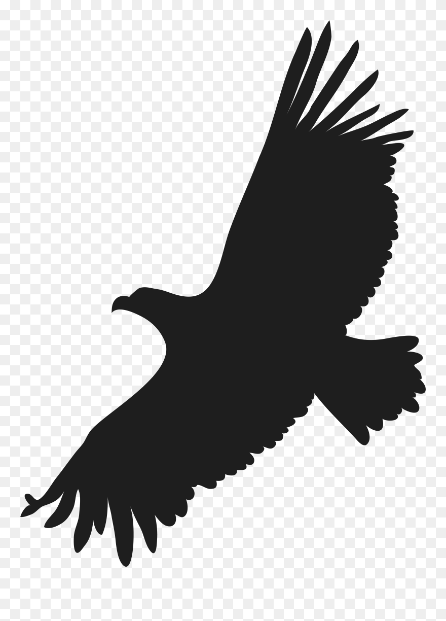 Image File Formats Lossless Compression - Flying Eagle Clip Art - Png Download