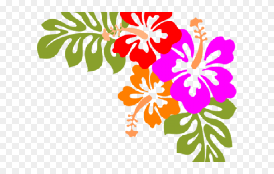 Tropical Hawaiian Flowers Clip Art - Png Download