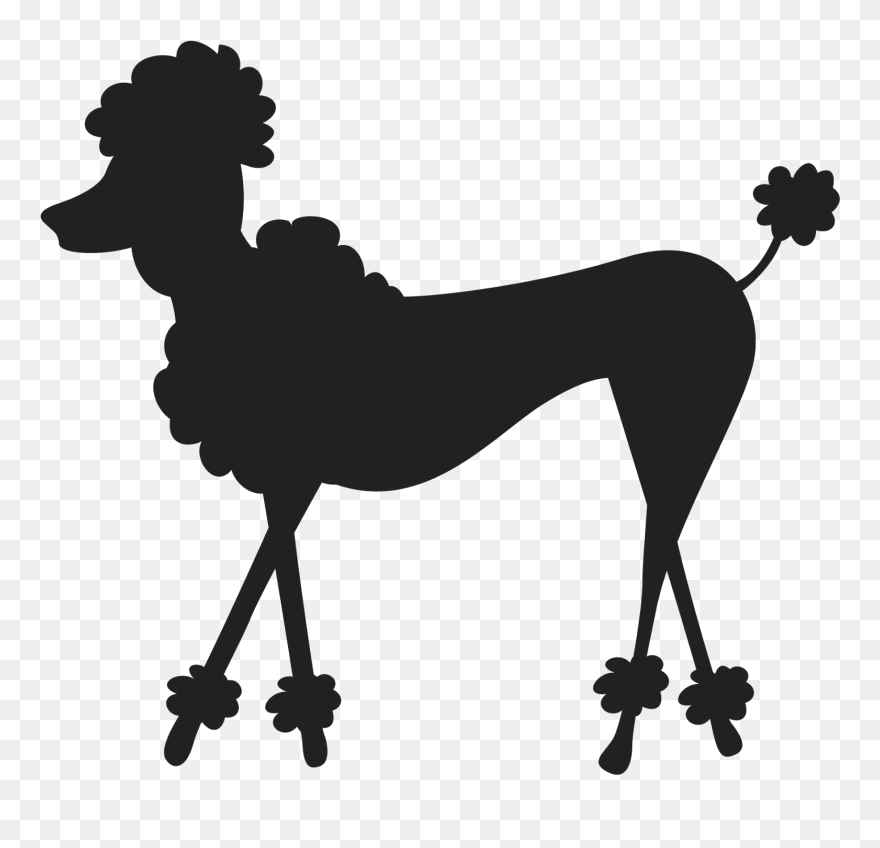 Sexy Paris Clipart - Perro De París Para Dibujar - Png Download