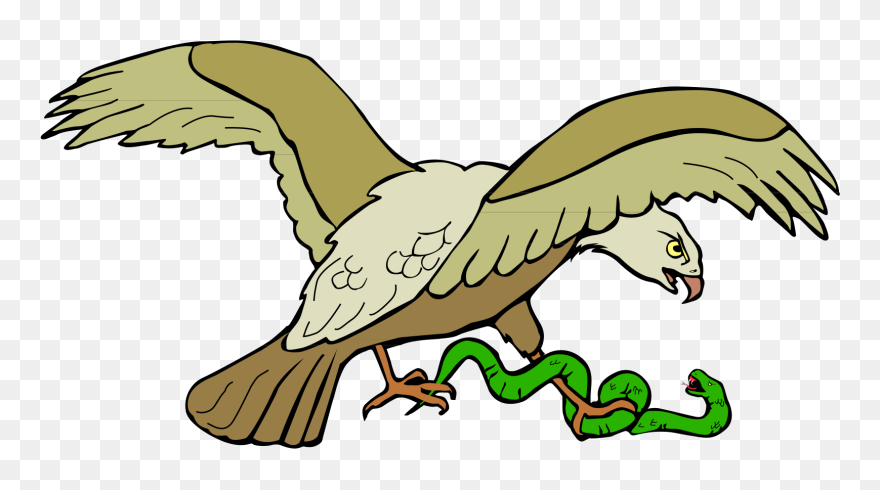Snake And Eagle Clipart - Png Download