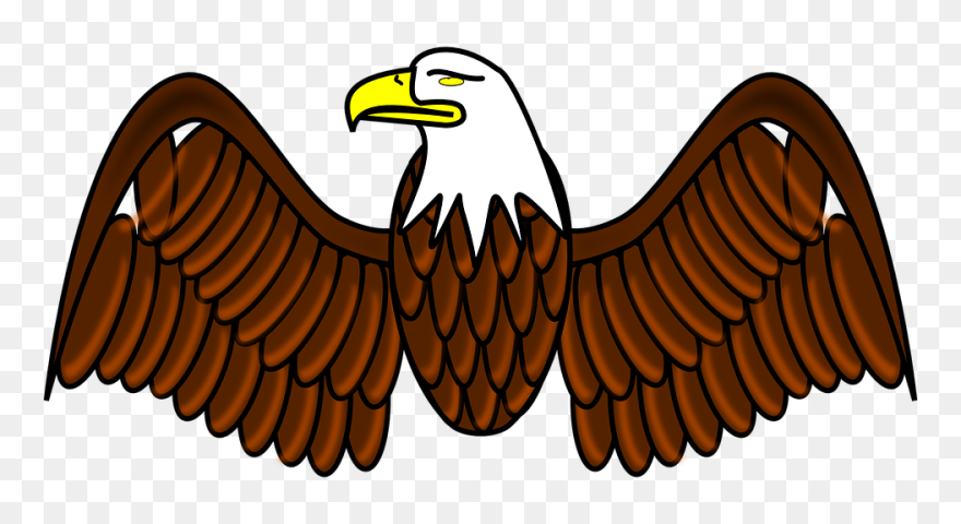 Transparent Eagle Wings Png - Easy Bald Eagle Clipart