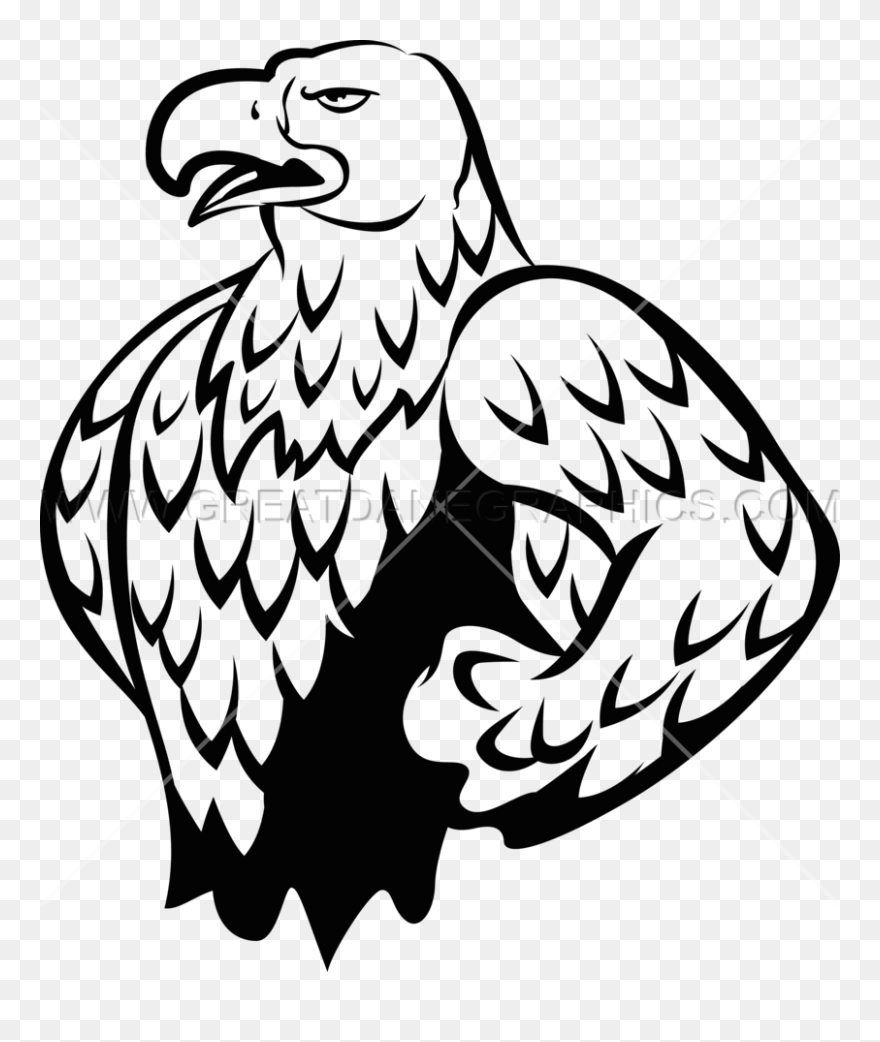 Cartoon Eagle Images - Bald Eagle Clipart