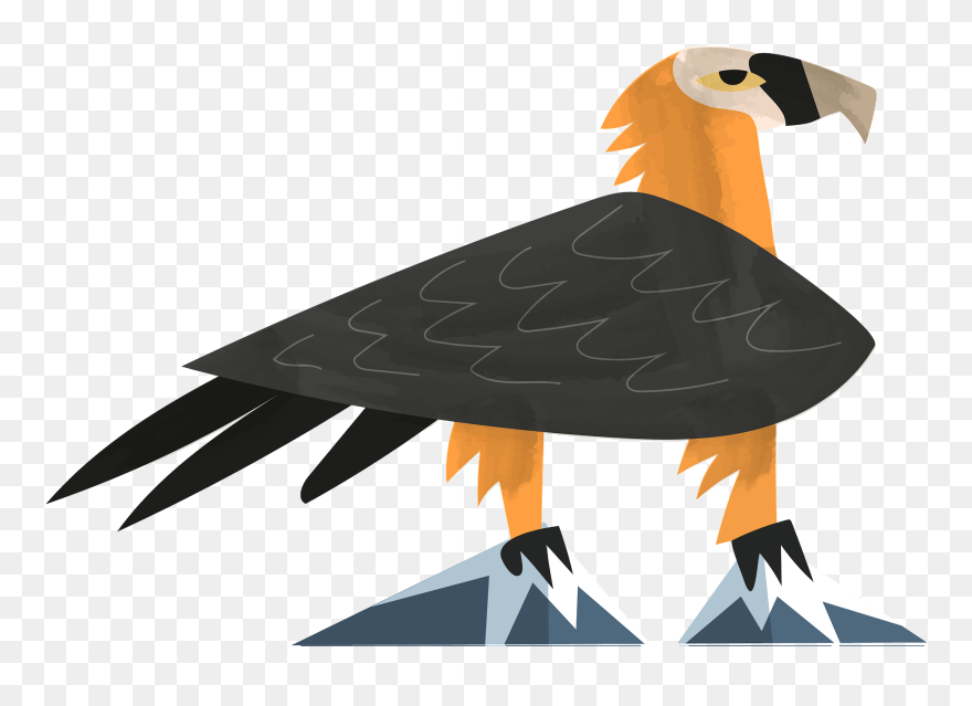 Illustration Clipart