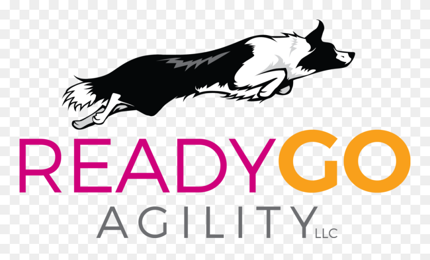Transparent Border Collie Clipart - Ml Realty Partners Logo - Png Download