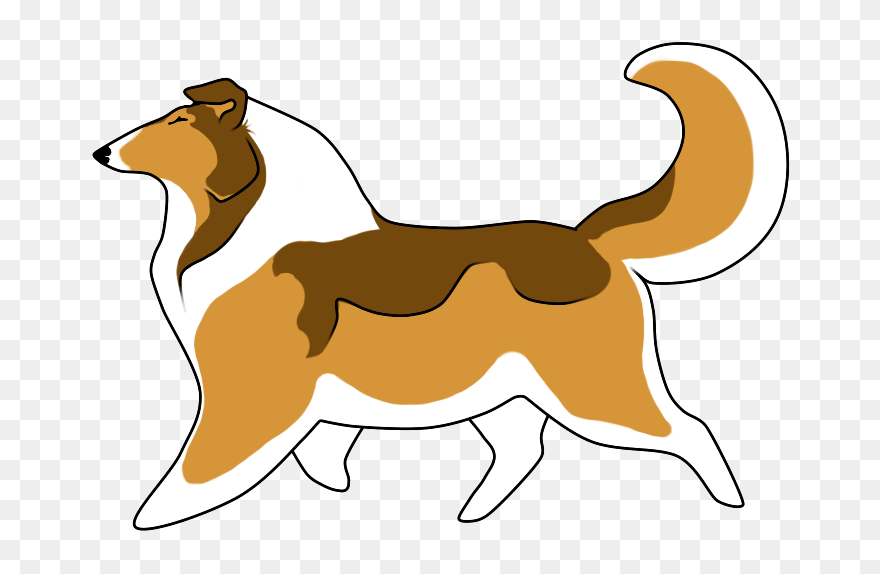 Rough Collie Border Collie Bearded Collie Shetland - Collie Clipart - Png Download