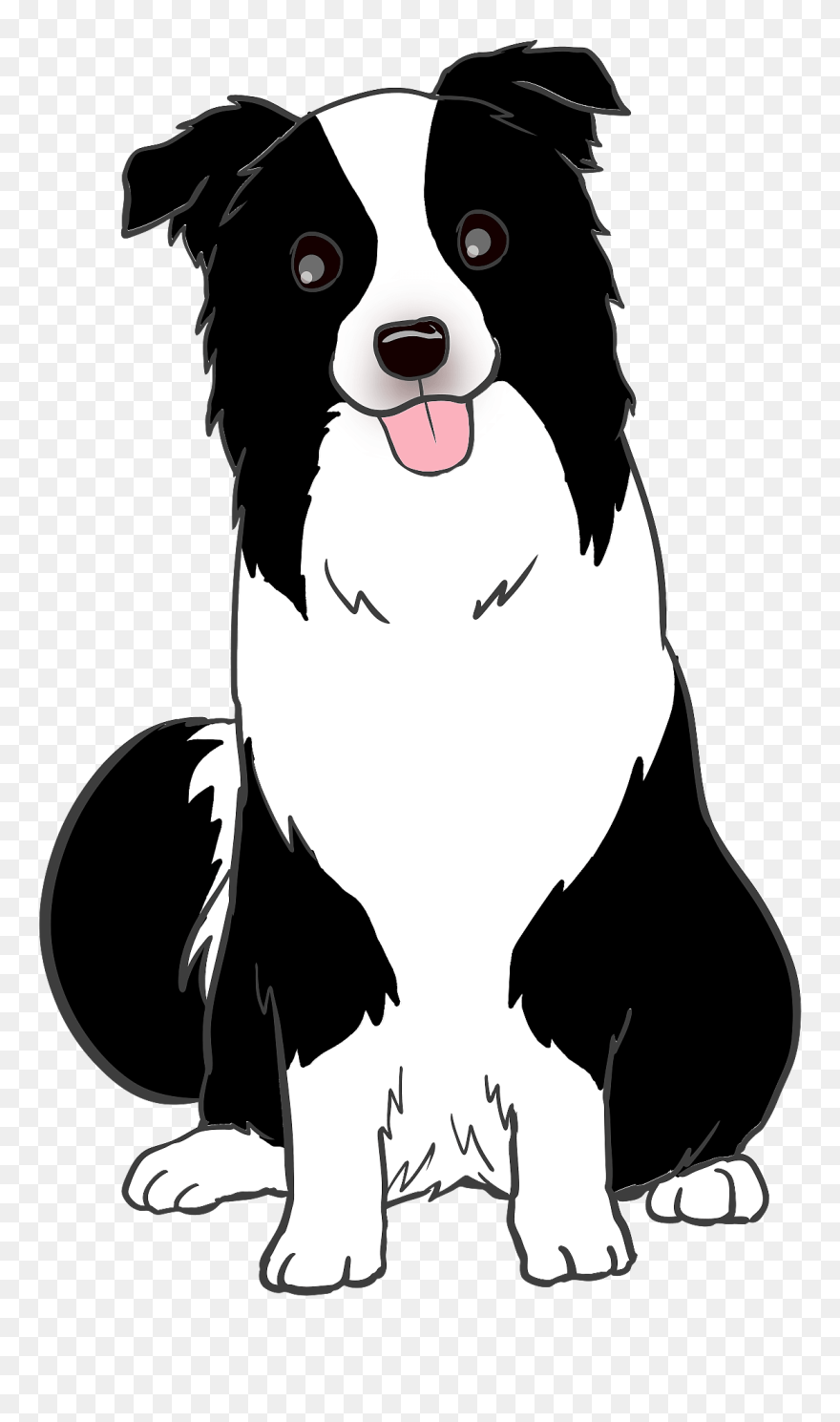 Clip Art Border Collie Png Transparent Png