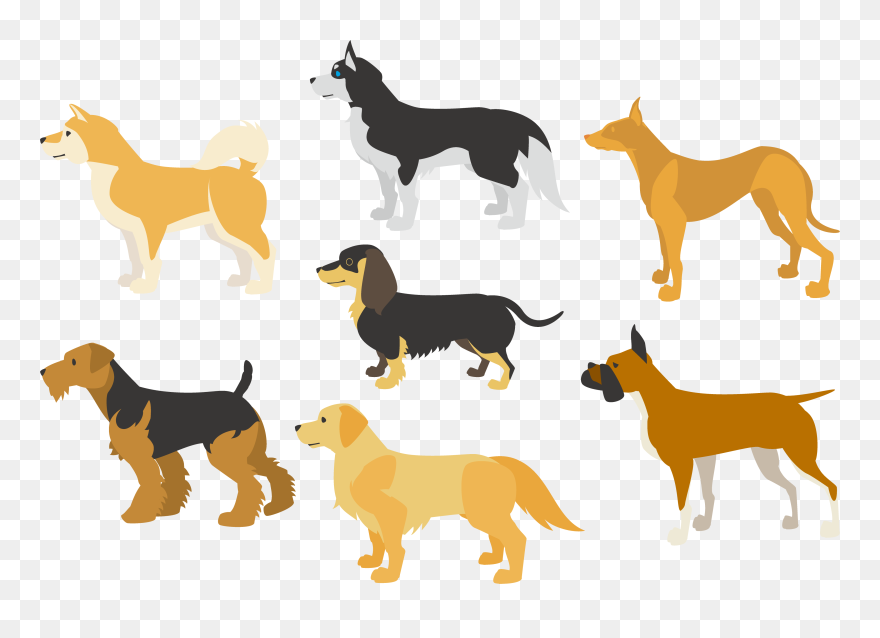 Border Collie Clipart Minimalist - 犬 横顔 イラスト - Png Download