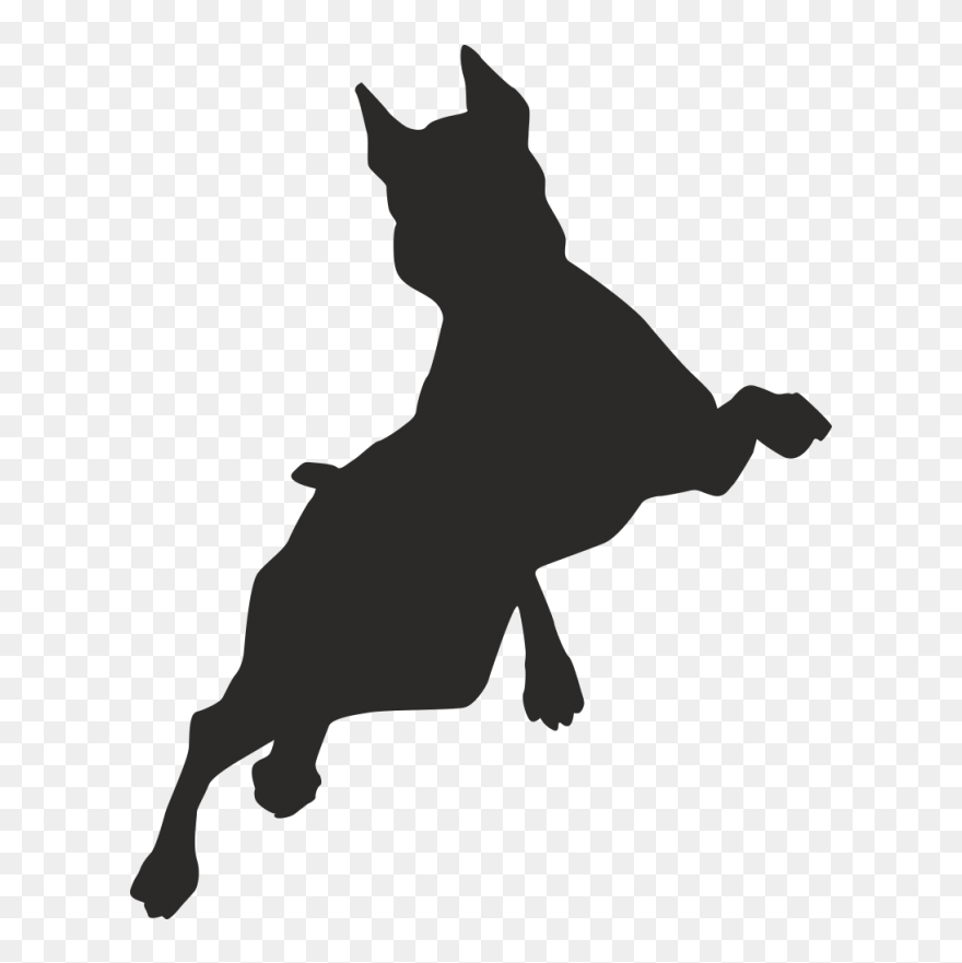 Border Collie Puppy Free Jumping Clip Art - Dog Jumping Vector - Png Download