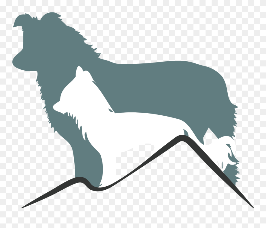 Birkengasse Chinese Crested Dog Border Collie Meine - Illustration Clipart