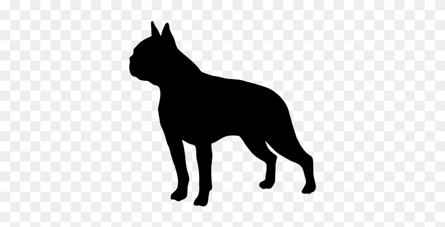 Boston Terrier Border Collie Golden Retriever Chinese - Boston University Student Government Clipart