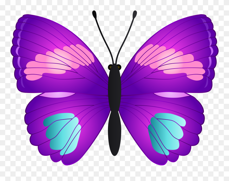 Clipart School Butterfly - Butterfly Clipart Transparent Background - Png Download