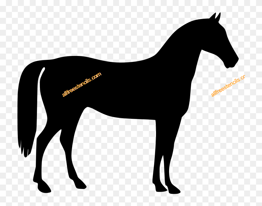 Transparent Bronc Clipart - Horse Black Clip Art - Png Download