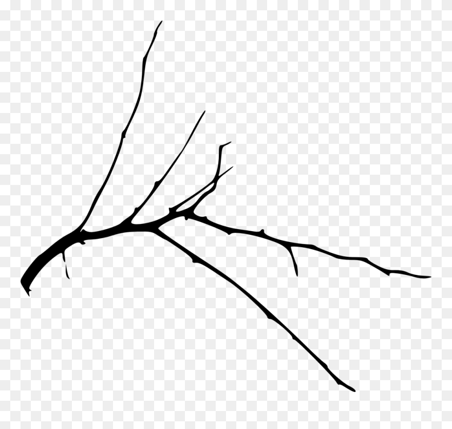 Branch Silhouette Clip Art Portable Network Graphics - Twig Transparent - Png Download