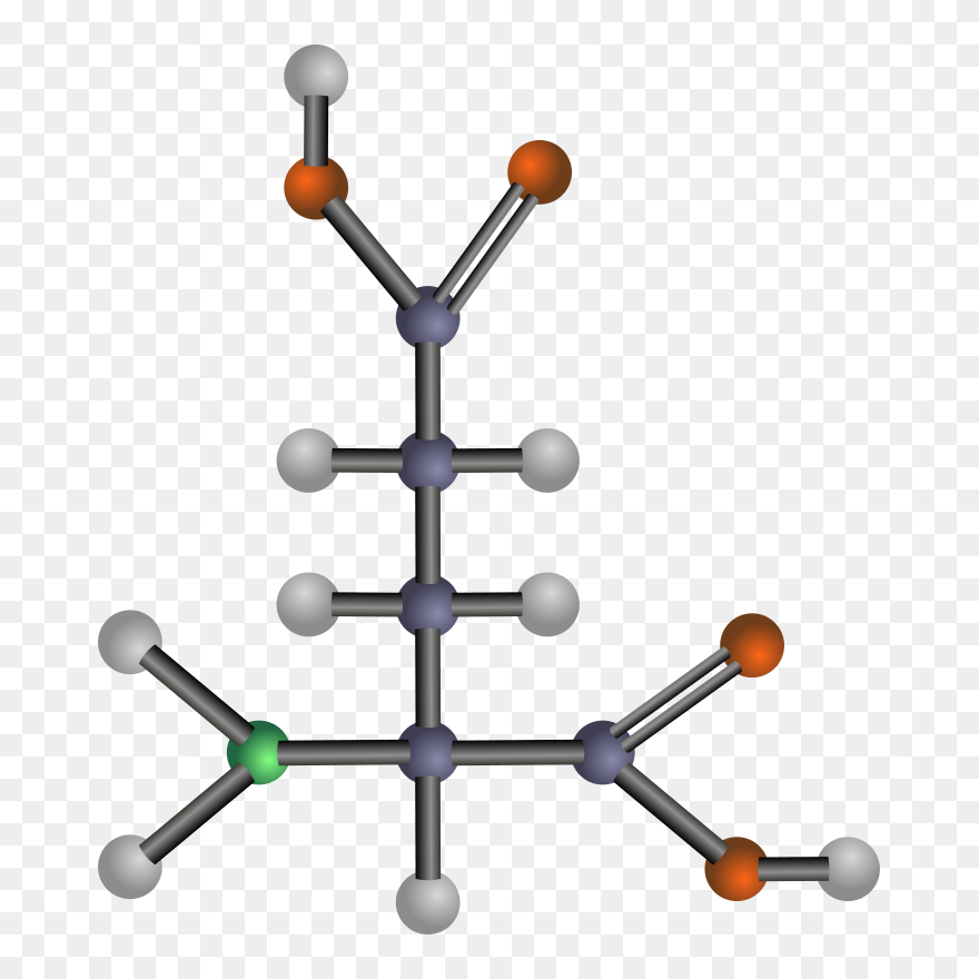 Free Clip Art "glutamic Acid - Amino Acids Transparent - Png Download